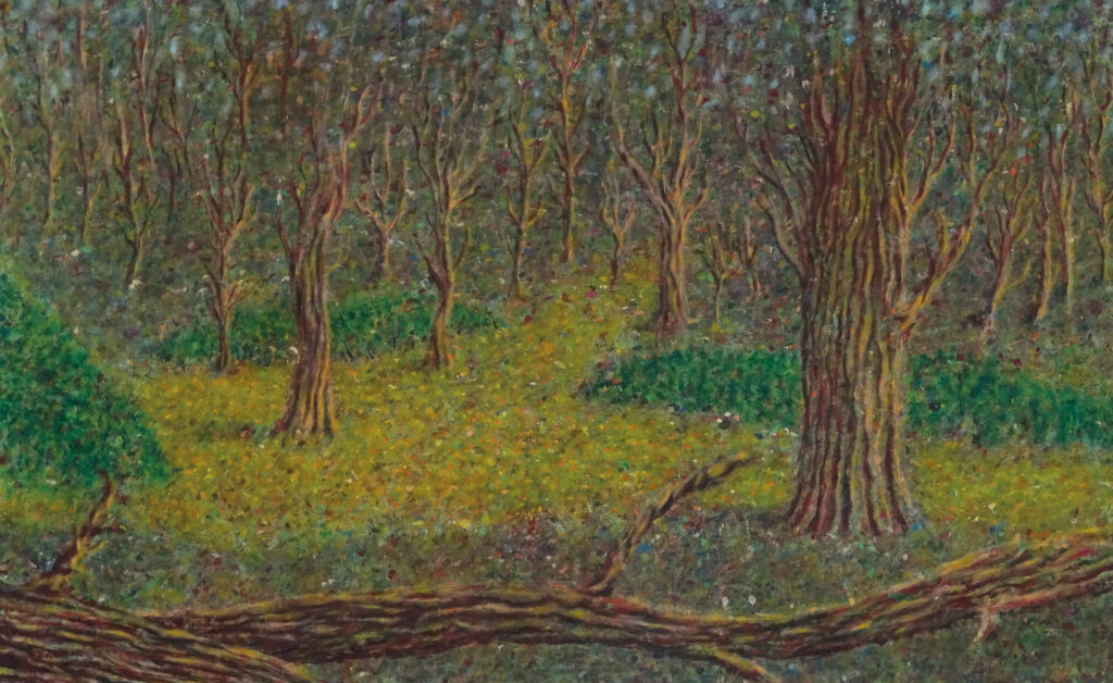 Herbst für Wald | For fall For rest | Otoño para bosque